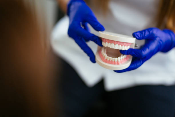 Best Root Canal Treatment  in Bartonvle, IL